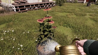 Prospera