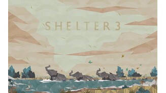 Shelter 3