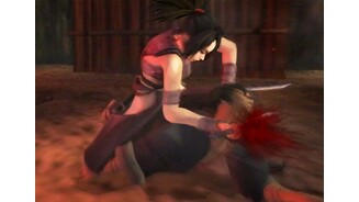 Tenchu Fatal Shadows 2