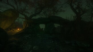 The Cursed Forest
