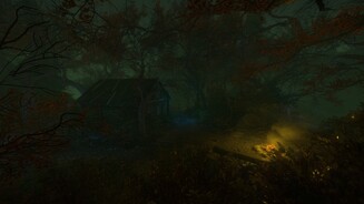 The Cursed Forest