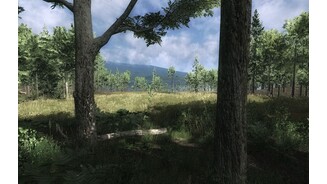 The Hunter