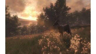 The Hunter