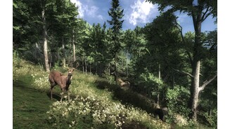 The Hunter