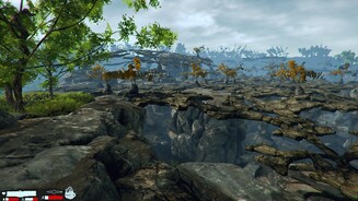 Vortex: The Gateway