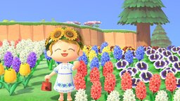 Animal Crossing: Warum eure Freunde so wichtig für eure Blumen sind