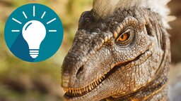 Ark Survival Ascended: Kibble herstellen – Alle Rezepte für das Trockenfutter für eure Dinos