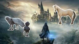 Hogwarts Legacy-Bastler zaubert in 40 Stunden ein unglaubliches Vivarium für seine Phantastischen Tierwesen