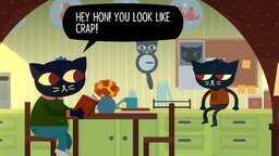 Night in the Woods im Test