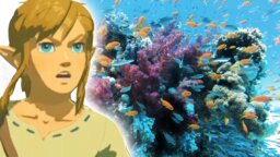 Zelda: BotW - So detailverliebt sieht die Unterwasserwelt aus