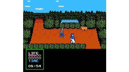 Adventures of Gilligans Island, The NES