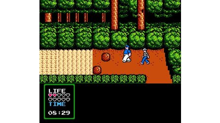 Adventures of Gilligans Island, The NES