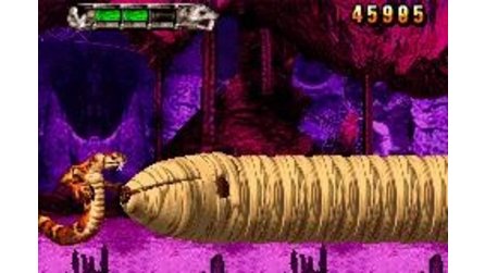 Altered Beast: Guardian of the Realms Game Boy Advance
