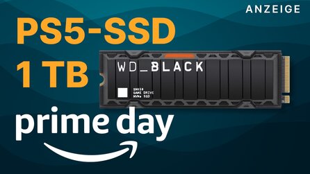 PS5-SSD zum Bestpreis: WD Black SN850 mit 1 TB im Prime Day Angebot