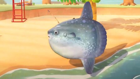 Animal Crossing - So sieht der gigantische Mondfisch in der Realität aus