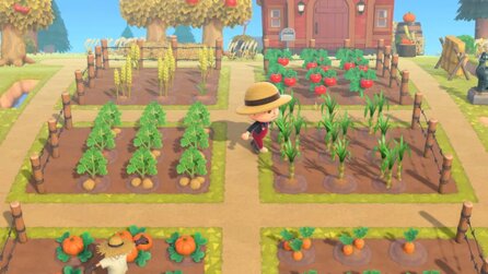 Animal Crossing-Fans sind schon so heiß aufs Faming-Update, dass sie ihre Inseln vorbereiten