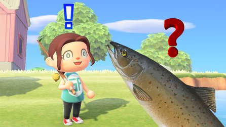 Huchen jetzt wieder in Animal Crossing: So fangt ihr den seltenen Fisch