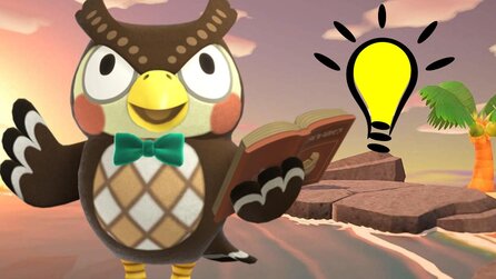 Animal Crossing: New Horizons - Sind Eulen und Vögel fangbar?
