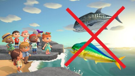 Animal Crossing: Haie, weitere Insekten + Fische verschwinden im Oktober