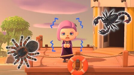 Animal Crossing - Neue Insekten im Mai: Vogelspinne geht, Skorpion kommt