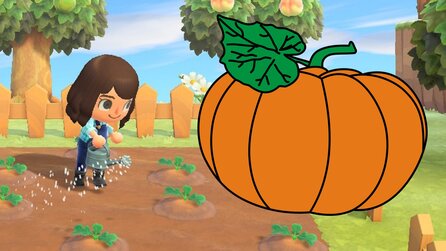 Animal Crossing: New Horizons - Kürbisse anbauen und alle Halloween-Anleitungen