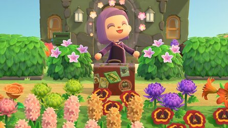 Animal Crossing: Tolle Schlummeranschriften mit Ideen für eure eigene Insel