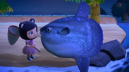 Animal Crossing: Fischaugen-Filter der Pro-Kamera macht euer Leben ein Stückchen besser