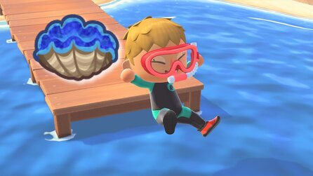 Animal Crossing-Fan lässt Vater einen Abend spielen und der fängt gleich achtmal die seltenste Muschel im Spiel