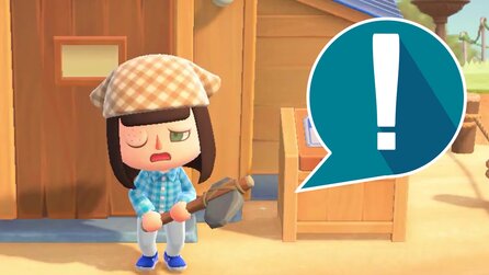 Animal Crossing-Fan will vor wütenden Wespen in Nooks Laden fliehen, randaliert aber versehentlich beim Versuch, die Tür zu öffnen - und es endet böse