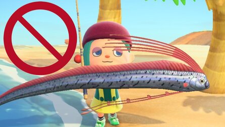Animal Crossing: Diese Fische + Insekten gibts im Juni nicht mehr