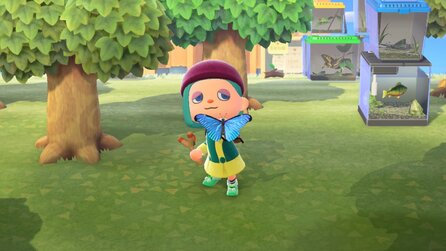 Animal Crossing New Horizons: Alle neuen Insekten im Juni