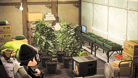 Animal Crossing: Fans werden kreativ, bauen Gras an und öffnen Coffeeshops