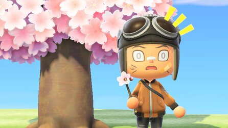Nur Animal Crossing-Veteranen erhalten neues Mai-Item, der Rest nur aufgewärmte Deko