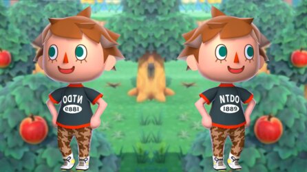 Animal Crossing: New Horizons: Unendlich Items dank Glitch