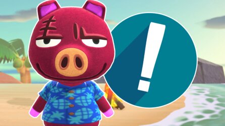 Animal Crossing-Fan startet nach Jahren einen alten Spielstand und weiß nicht mehr, warum das Haus aussieht wie das Versteck eines Serienkillers