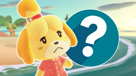 Animal Crossing-Fans warten seit Jahren auf ein Lebenszeichen der Switch 2-Fortsetzung und nun streut Pokémon Pokopia Salz in die Wunde