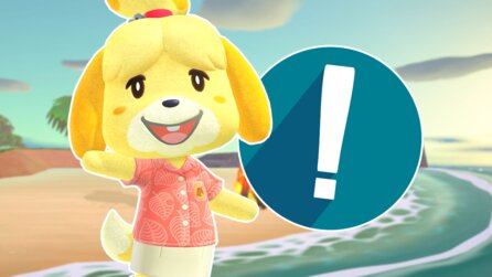 In Animal Crossing 3.0 könnt ihr jetzt springen und das kann euch beim Bauen einige Nerven sparen