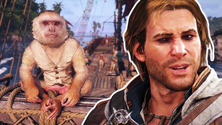 Assassins Creed Black Flag Resynced: Die Katze und der Affe sind süße, treue Begleiter - so schaltet ihr die neuen Haustiere frei