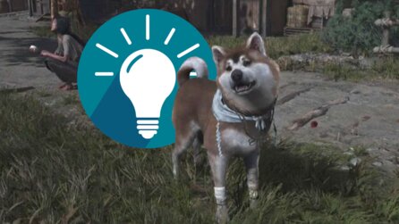 In Assassins Creed Shadows Fuji-Maru adoptieren - So bekommt ihr den Hund für euer Versteck