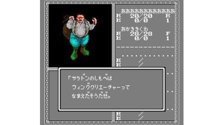 Bards Tale II: The Destiny Knight, The NES