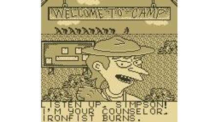 Bart Simpsons Escape from Camp Deadly Game Boy