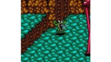 Battletoads Game Gear