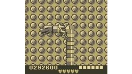 Battletoads in Ragnaroks World Game Boy