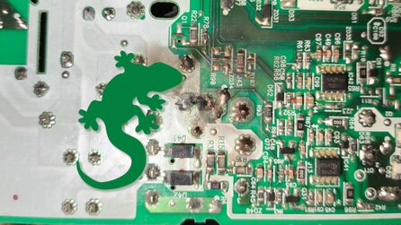 PS4-Spieler macht Hausaufgaben und bemerkt plötzlich Brandgeruch aus seiner Konsole: Als er sie öffnet, findet er eine tote Echse darin