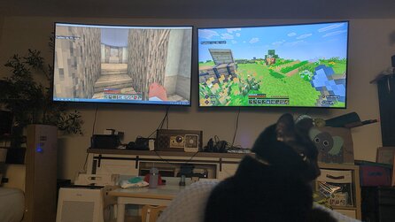 Vor 30 Jahren sagten ihre Eltern, sie würde aus ihrem dummen Gaming-Hobby rauswachsen - heute beweist sie das Gegenteil und 39.000 Leute feiern sie