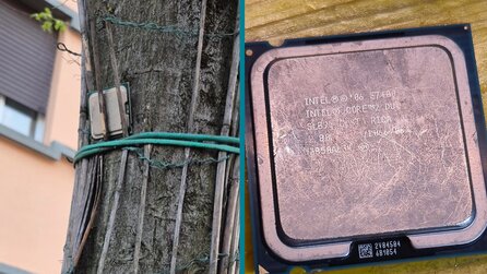 Spieler stolpert auf dem Heimweg über 14 Jahre alte CPU, die in einem Baum feststeckt - als er sie zu Hause ansteckt, springt sie direkt an