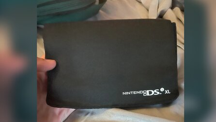 Glückspilz findet gemoddeten Nintendo 2DS XL einfach in der Mülltonne: Du hast wortwörtlich 300 Dollar im Müll gefunden