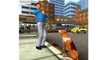 Dog`s Life