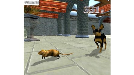 Dog`s Life