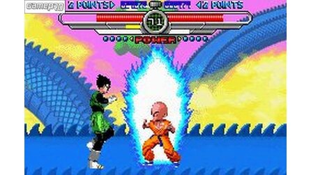 Dragon Ball Z: Taiketsu